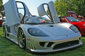 Saleen Pictures